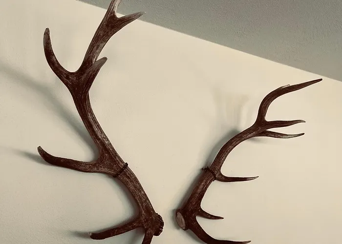 Appartamento Casa Alma, 3 Bedroom, Spacious With Sauna *