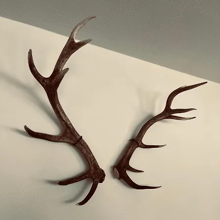 Lägenhet Casa Alma, 3 Bedroom, Spacious With Sauna *